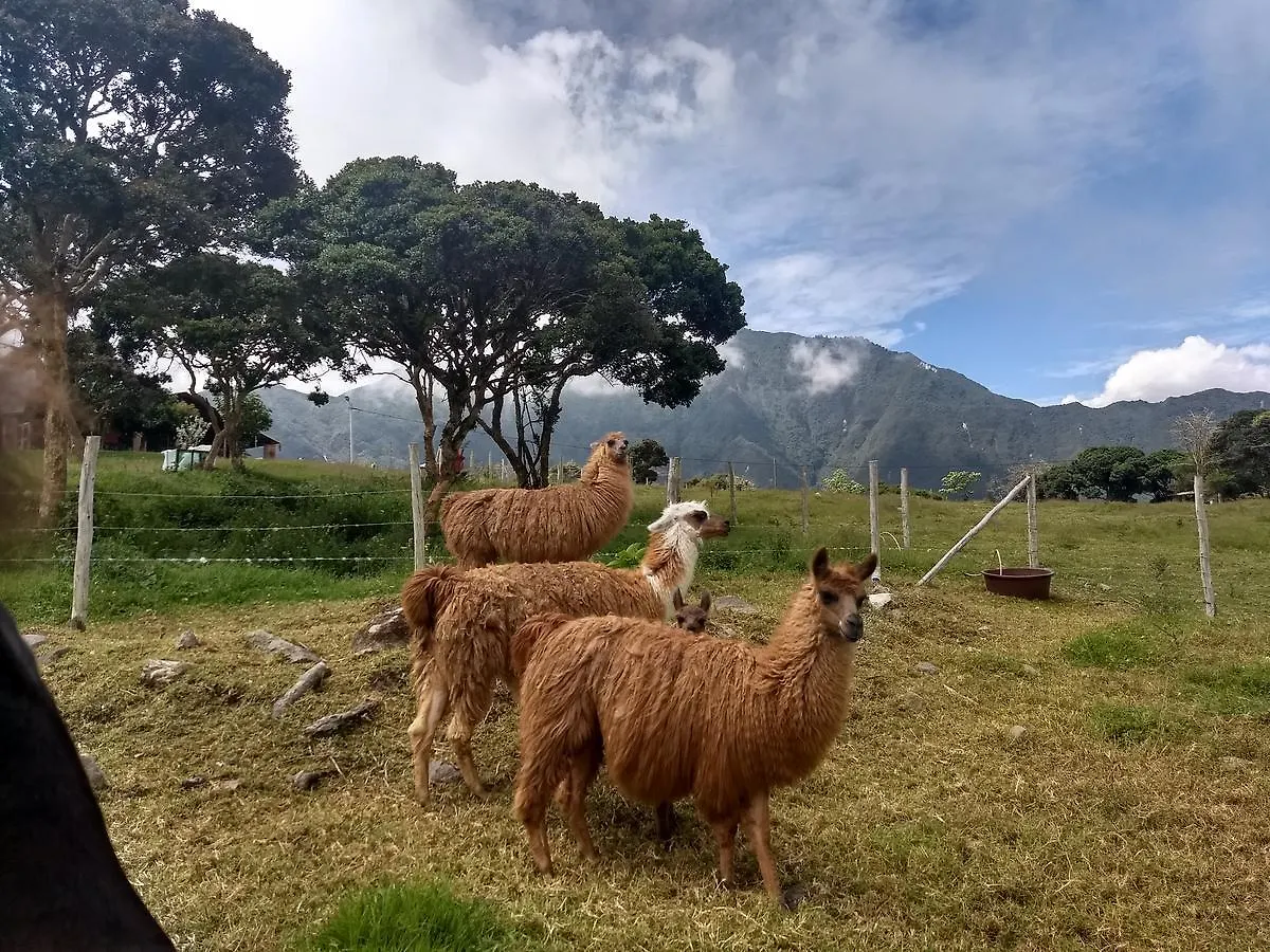 Bed & Breakfast Casa Lamore Pululahua B&B Quito