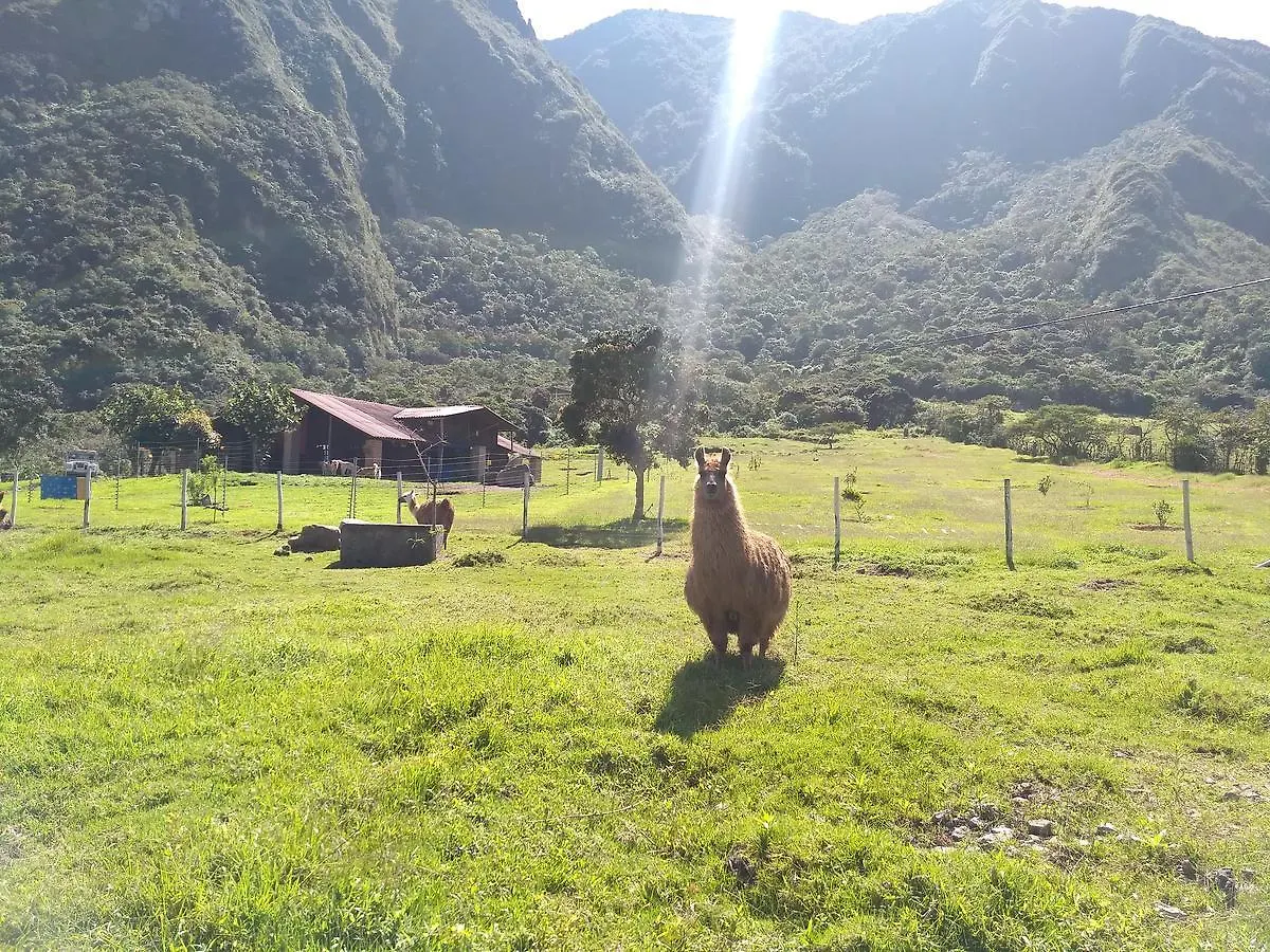 Casa Lamore Pululahua B&B Quito 2*,  Ecuador