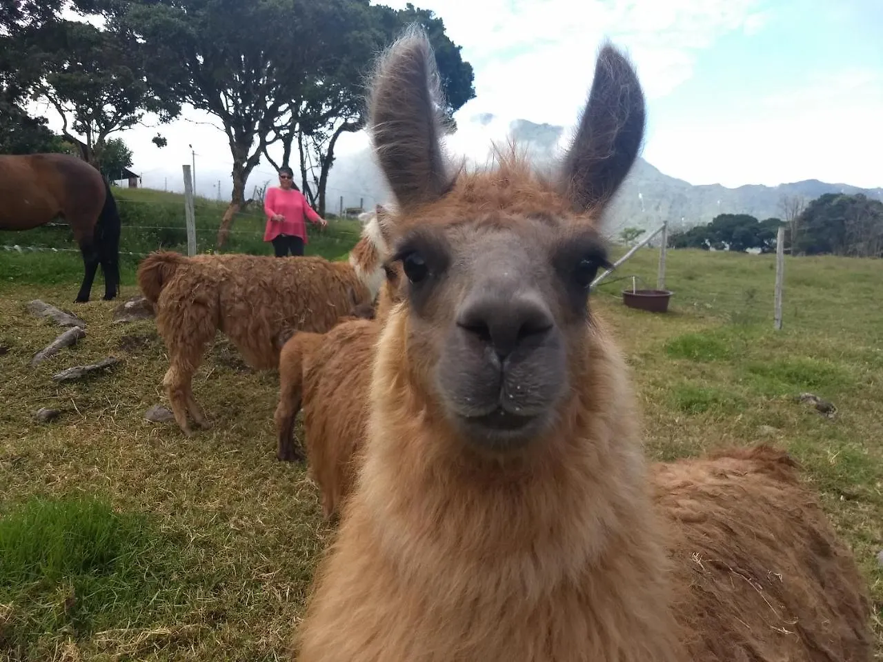 Casa Lamore Pululahua B&B Quito Équateur